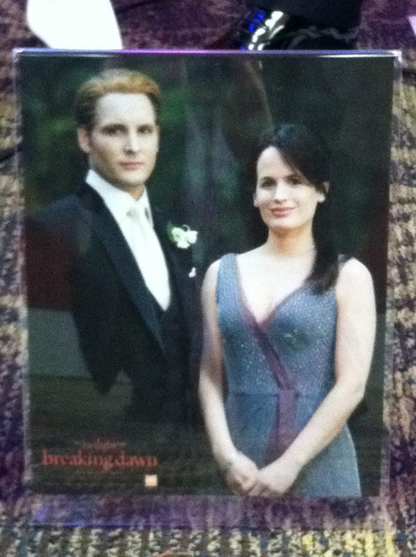 -The-Twilight-Saga-Breaking-Dawn-Part-1-Stills-Carlisle-Esme-esme-and-carlisle-cullen-26574846-600-803